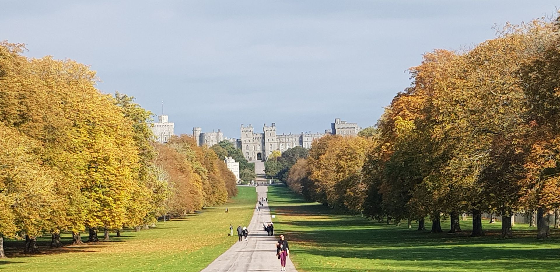 Long Walk with view of Windsor Castle